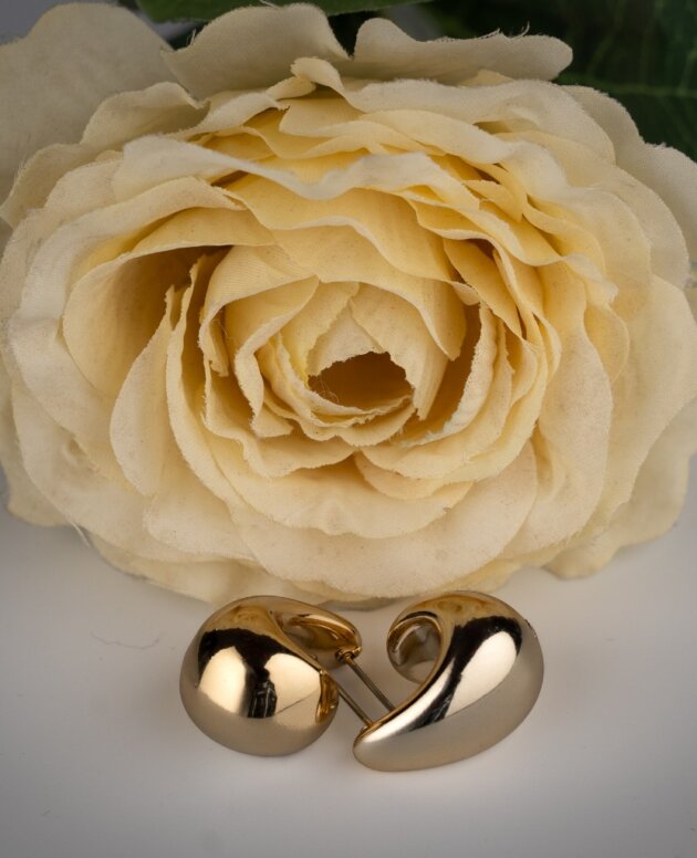Golden Crescent Stainless Earrings
