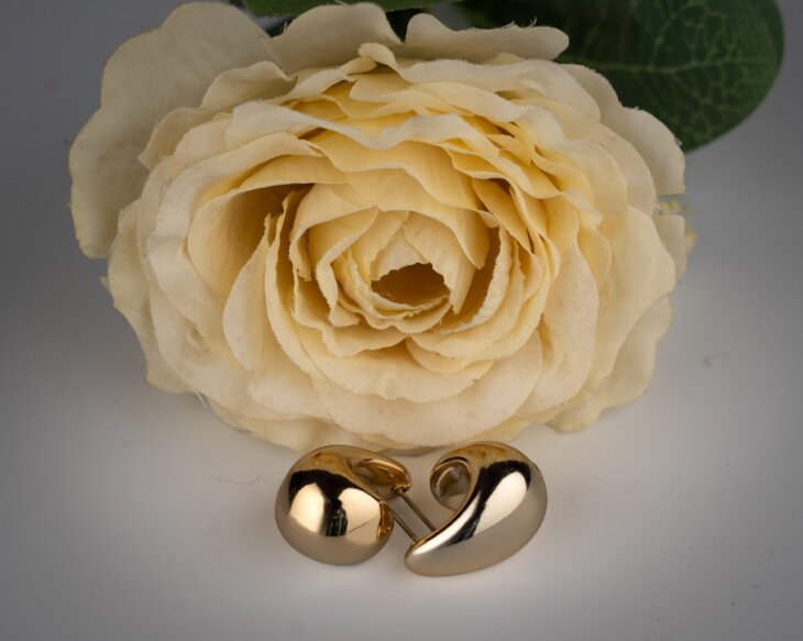 Golden Crescent Stainless Earrings
